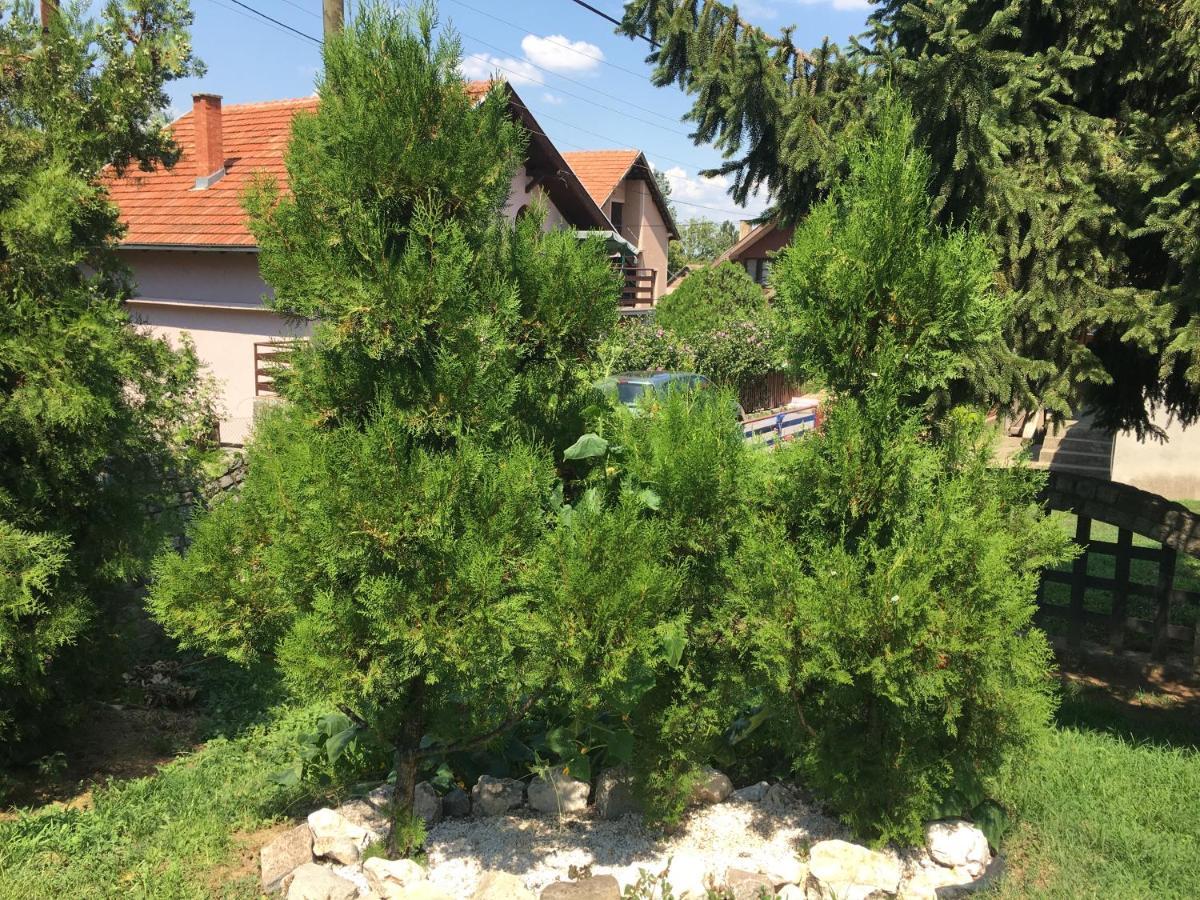 Apartmani Spasic Smederevo Exteriör bild